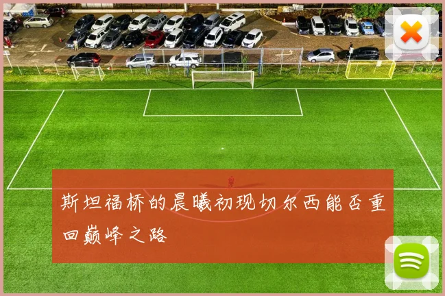 斯坦福桥的晨曦初现切尔西能否重回巅峰之路